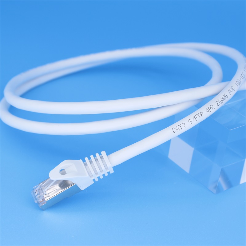 Why Opt for a 100ft Cat 7 Ethernet Cable?